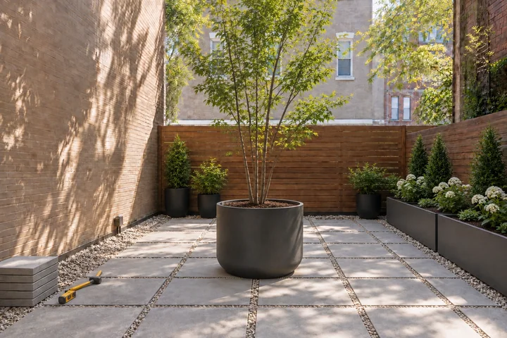 Container shade courtyard: Planting