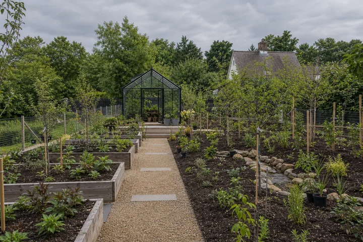 Greenhouse rain garden property: Planting