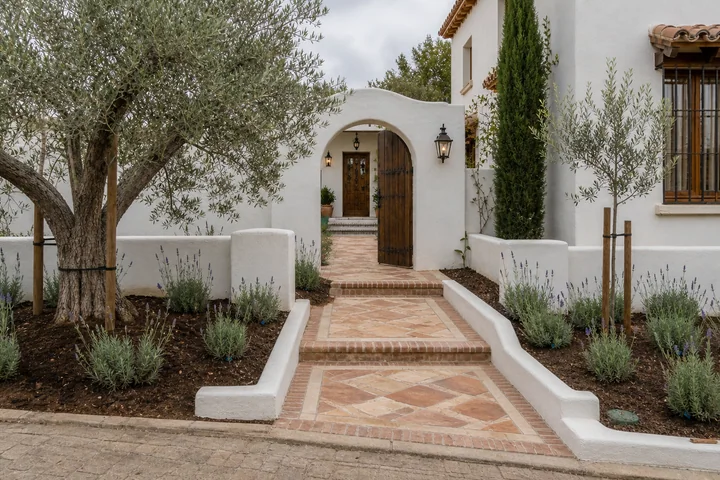 Mediterranean lavender front courtyard: Planting