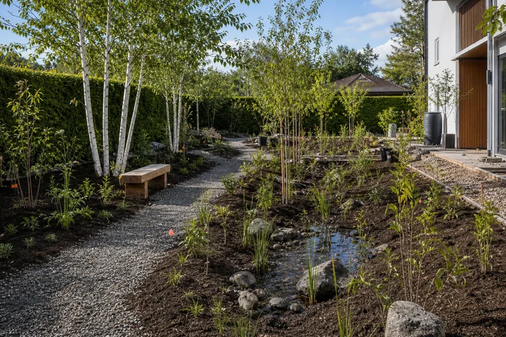 Natural rain garden property: Planting