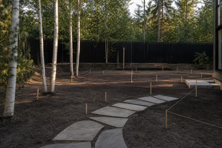 Woodland shade backyard: Site preparation